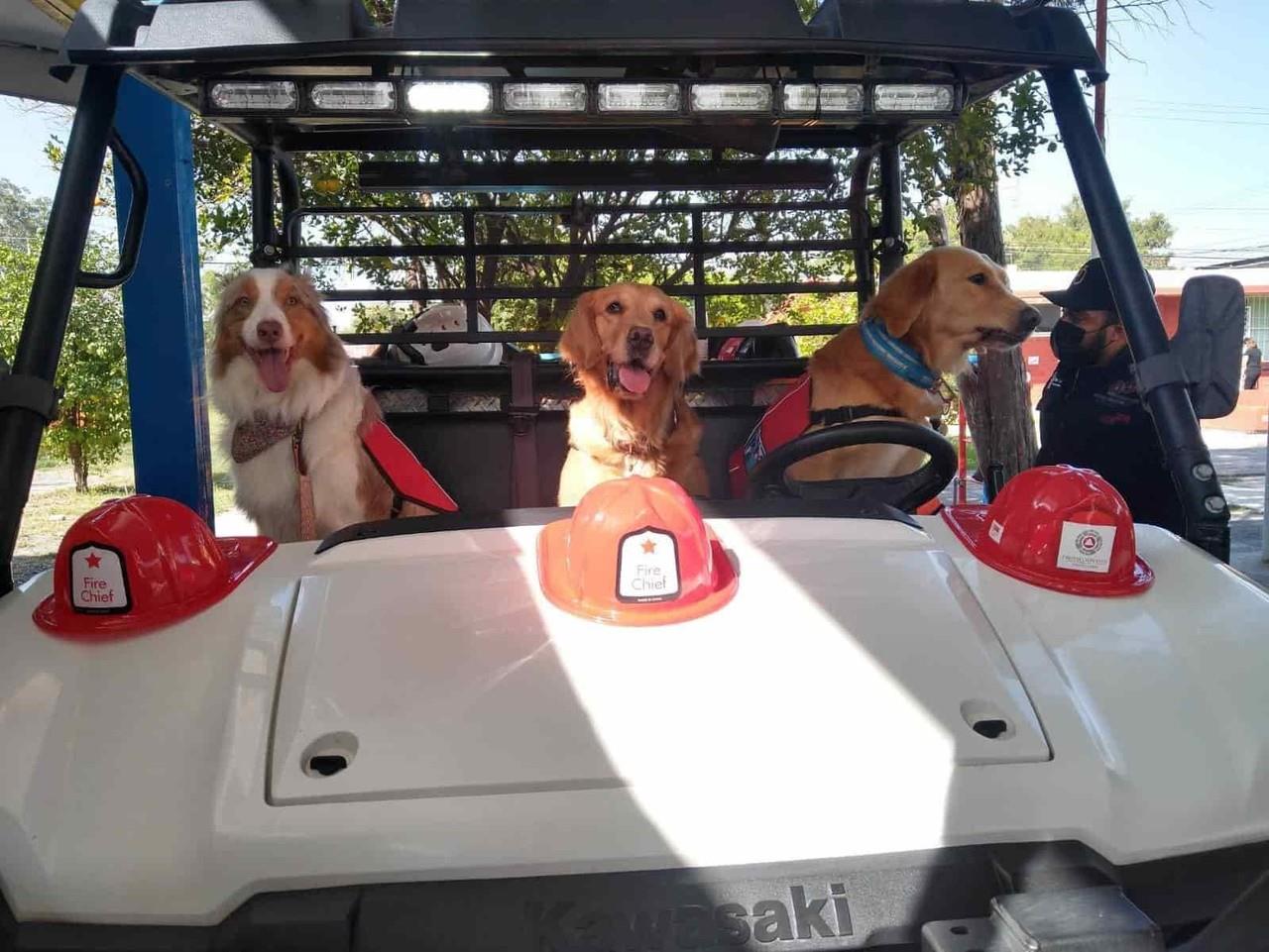 Realiza PC simulacros con perros de asistencia en jardín de niños