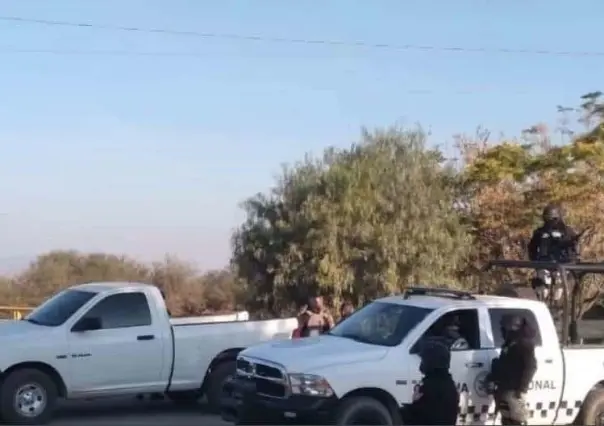 Encuentran ocho cuerpos colgados en Fresnillo, Zacatecas