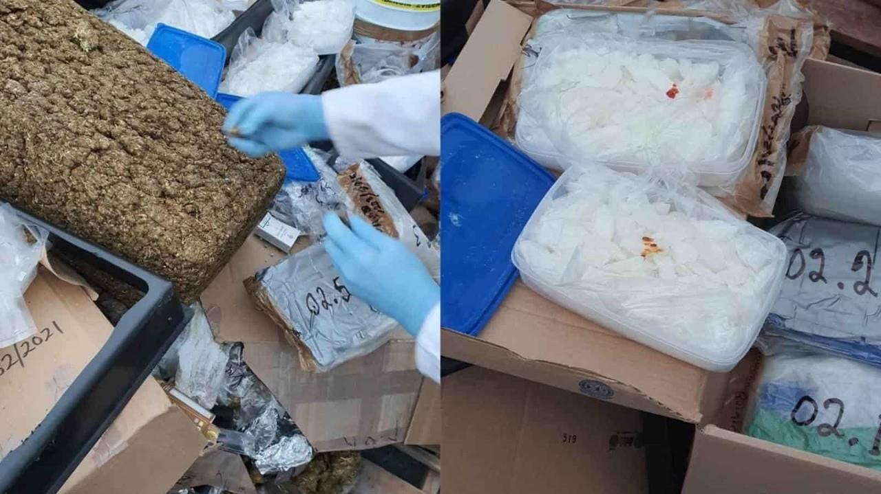 Aseguran y destruyen droga autoridades federales