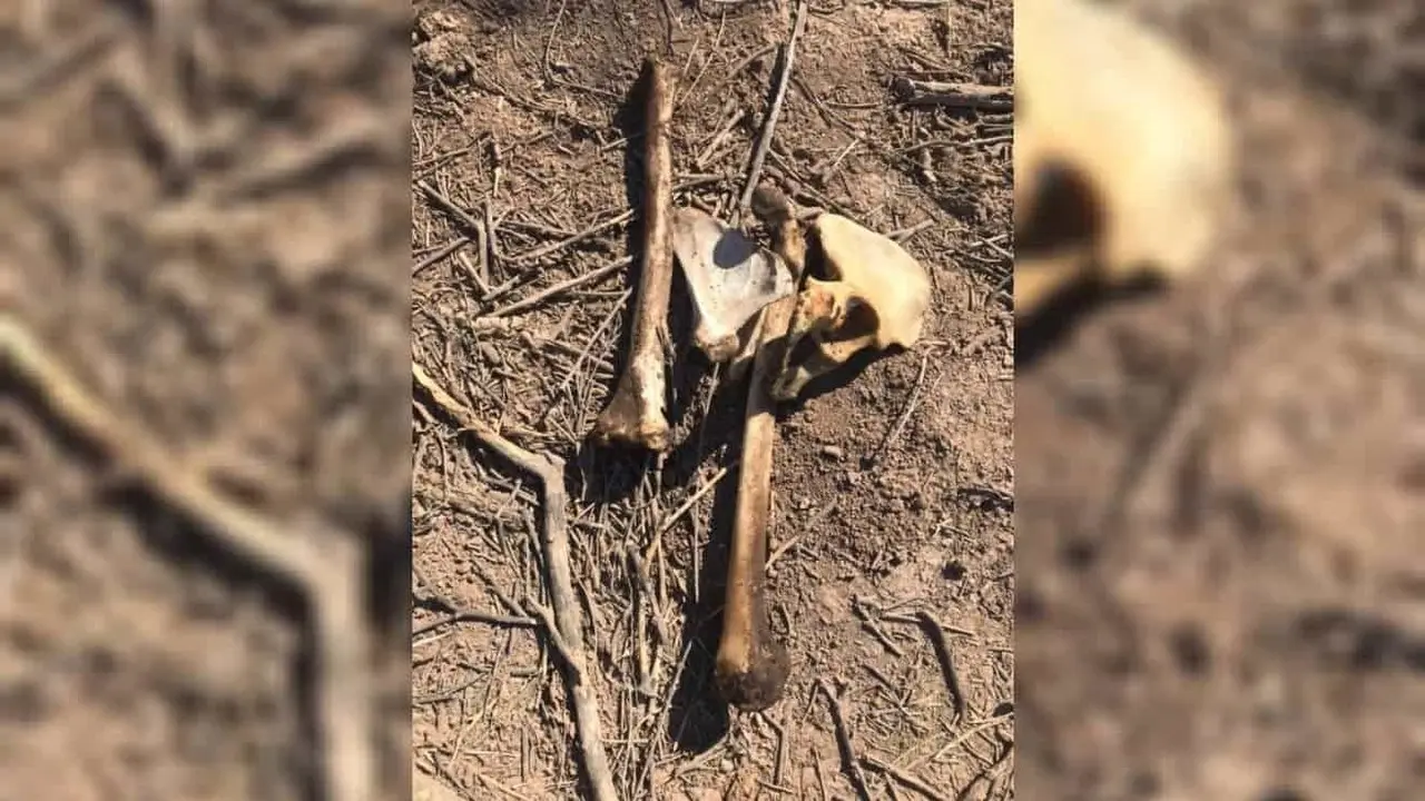 ¡El horror! Encuentran Madres Buscadoras de Sonora 14 fosas clandestinas