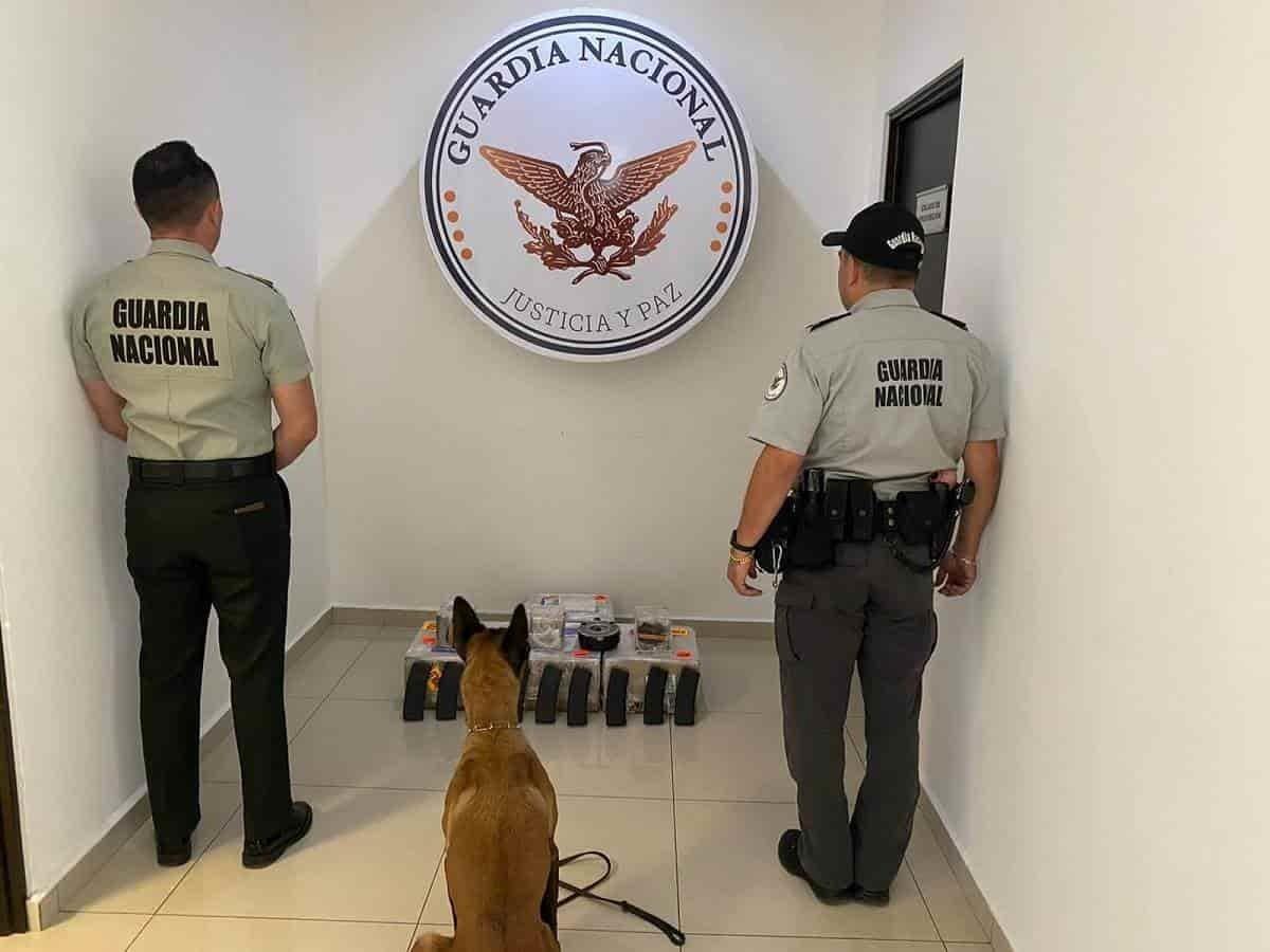 Asegura Guardia Nacional cartuchos y cargadores en Santa Catarina