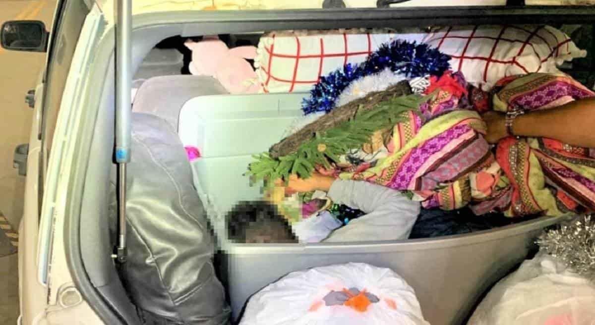Descubren a ilegal oculto en caja navideña