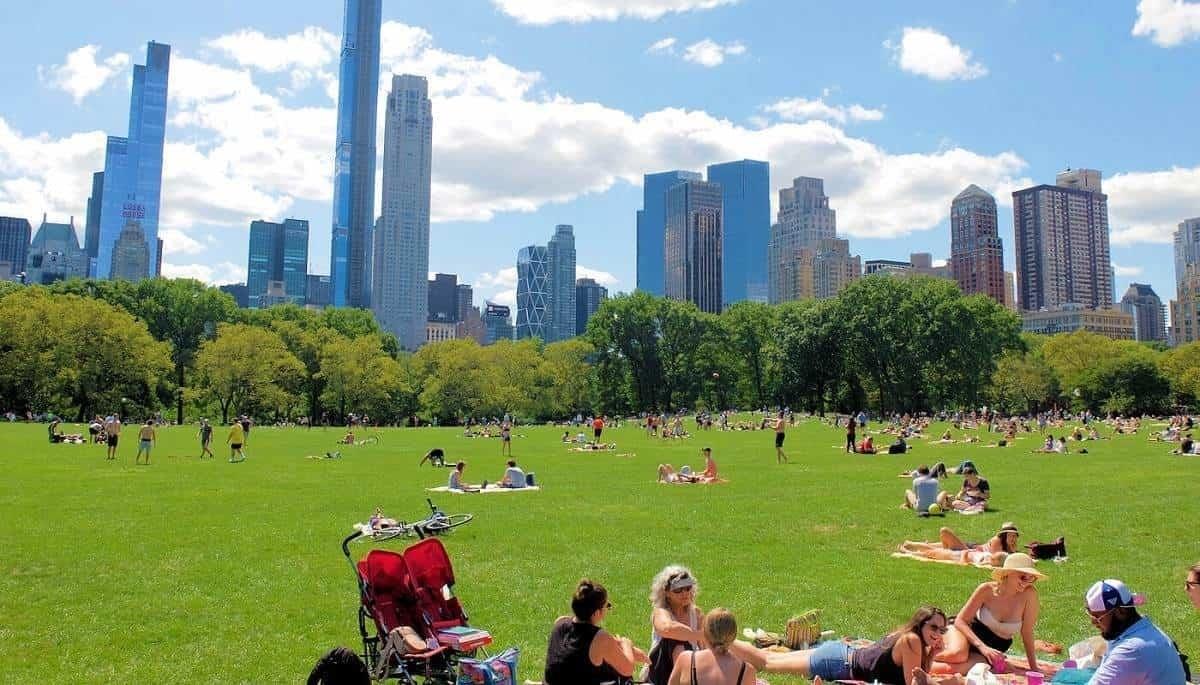 Califican al Central Park de NY como la versión chafa de Chapultepec