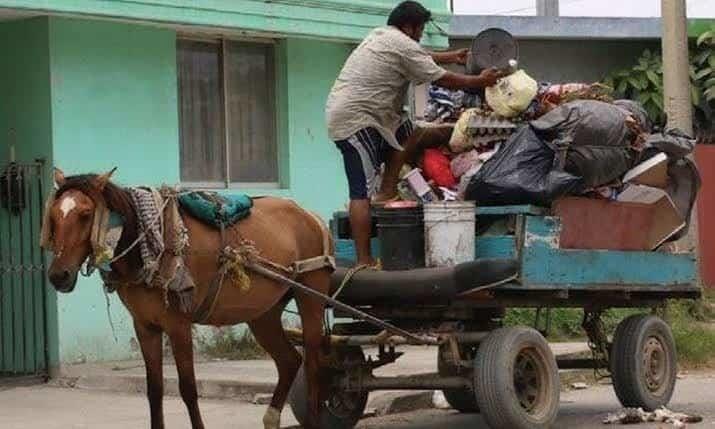 Piden regular el uso de animales por parte de carretoneros en Matamoros