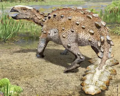 Dinosaurio empuñaba una cola que se asemejaba a un garrote azteca