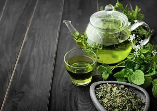 Té verde: una hierba poderosa con efecto adelgazante