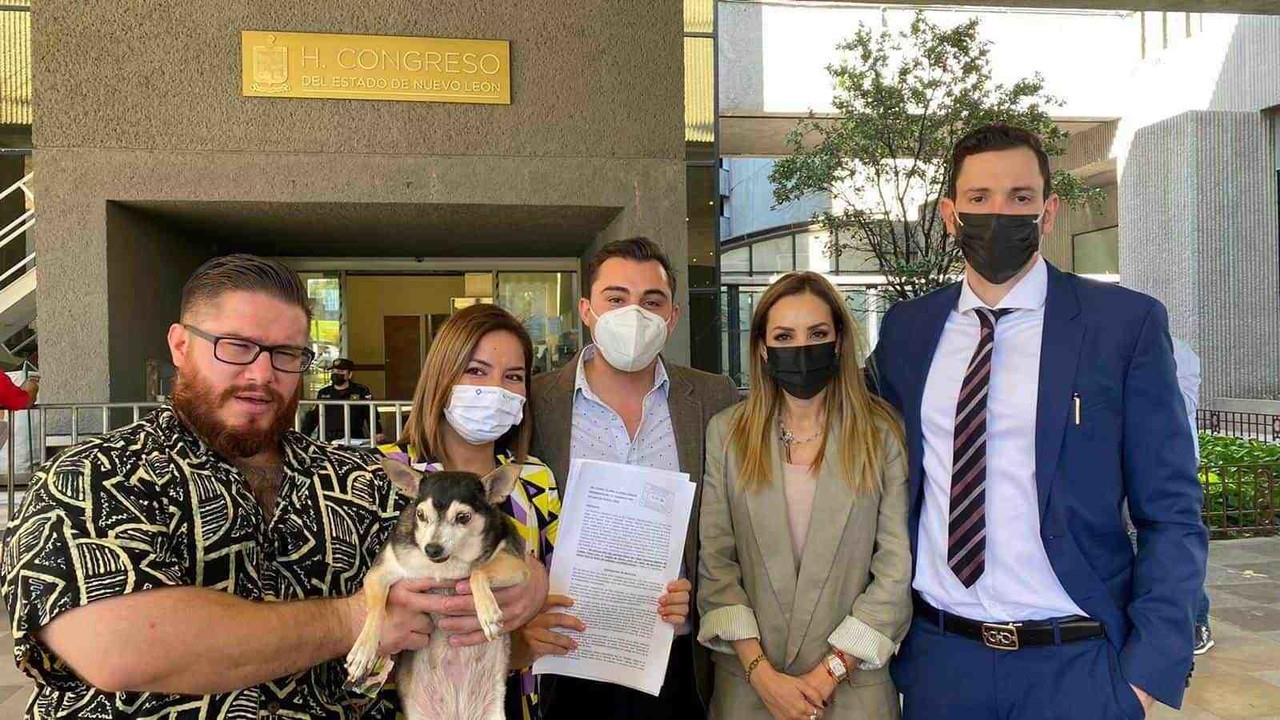 Buscan activistas incentivar denuncias de maltrato animal con penas severas
