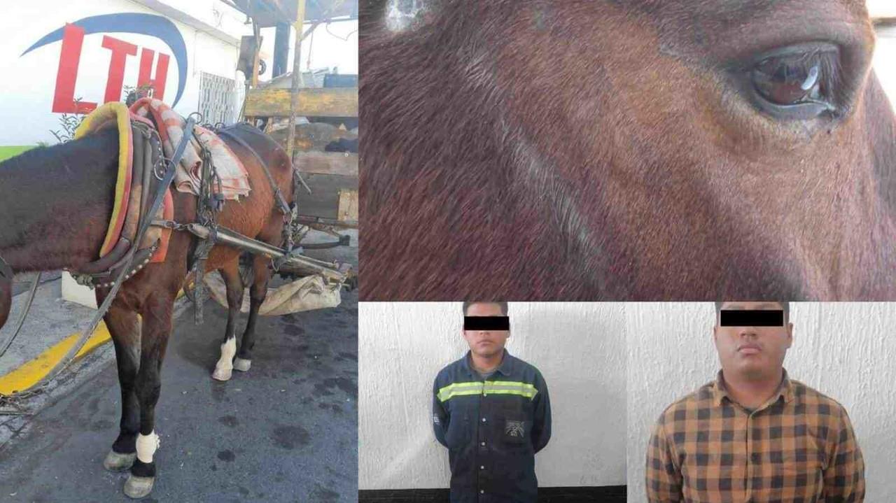 Detienen a dos carretoneros por maltrato animal