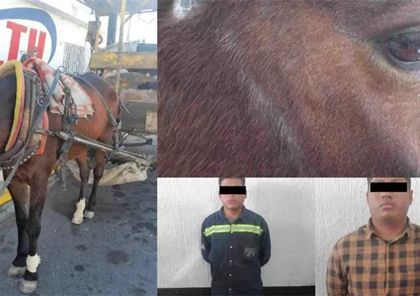 Detienen a dos carretoneros por maltrato animal