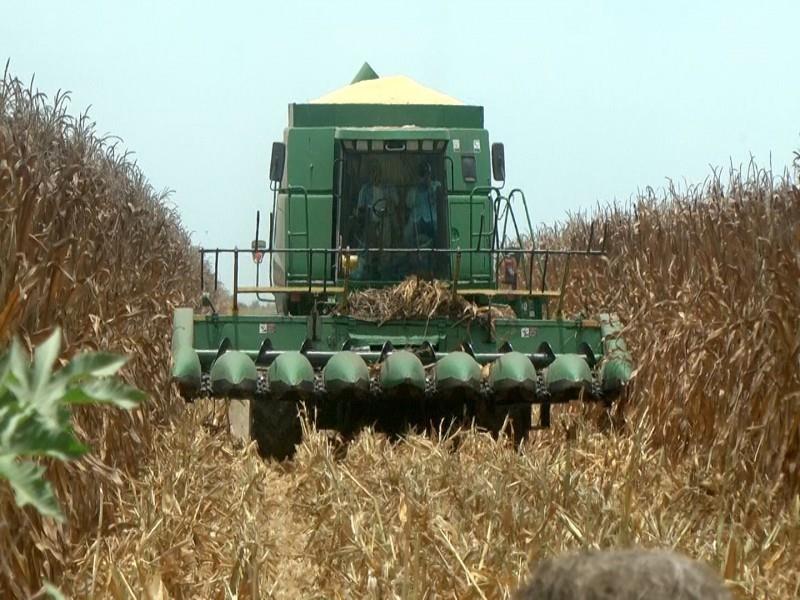 ¿Cuánto? Adeudan maderenses casi 41 mdp por impuesto predial