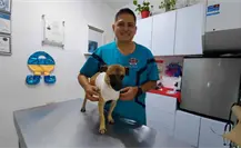 Llaman a proteger a mascotas ante pirotecnia por Año Nuevo Llaman a proteger a mascotas ante pirotecnia por Año Nuevo