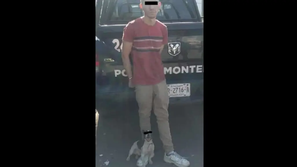 Detienen a perro rata y a su amo por diferentes robos en Monterrey