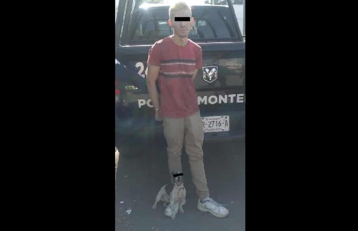 Detienen a perro rata y a su amo por diferentes robos en Monterrey