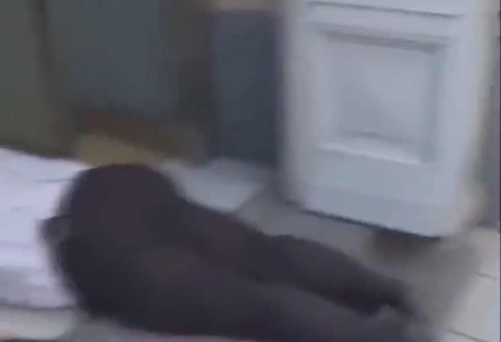¿Carlos? Tumba golpe de calor a reportero en vivo