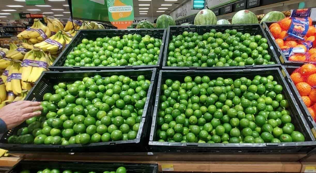 Sigue precio del limón por los cielos: kilo ronda entre los 70 a 90 pesos
