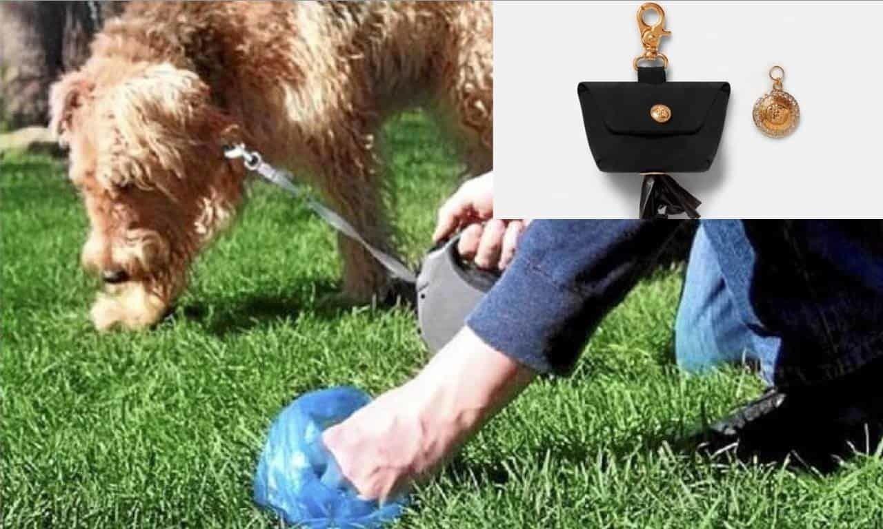 Es un lujo, pero tu mascota, ¿lo vale?