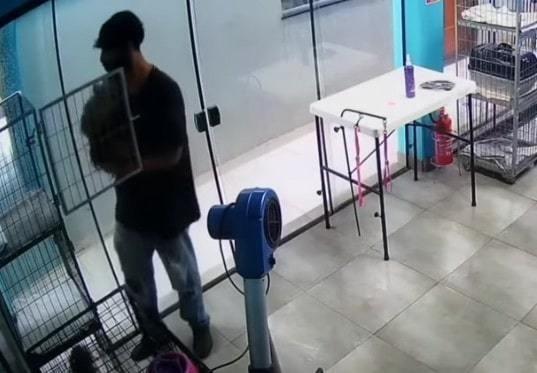 ¡Ellos también se estresan! Empleado de veterinaria baila con cachorrita