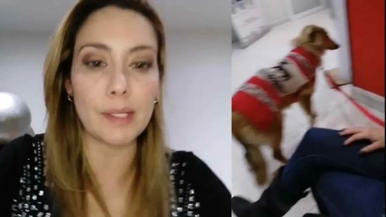 ¡Pierden a su mascota! Sugey Ábrego vive una odisea con Aeroméxico
