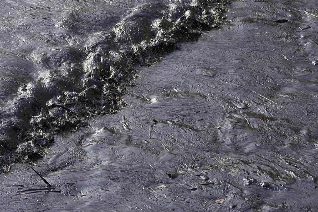¿Cabello humano para limpiar petróleo en el mar?