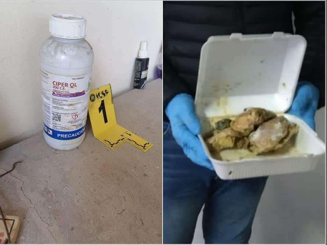 Catean casa por animales envenenados en Montemorelos