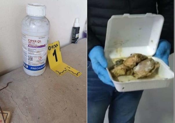 Catean casa por animales envenenados en Montemorelos