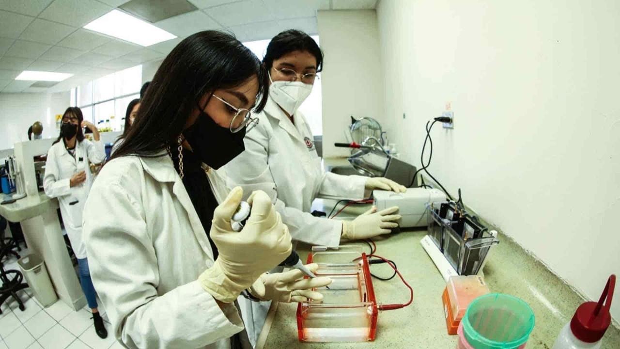 Estudiantes de la UANL crean espuma sustentable