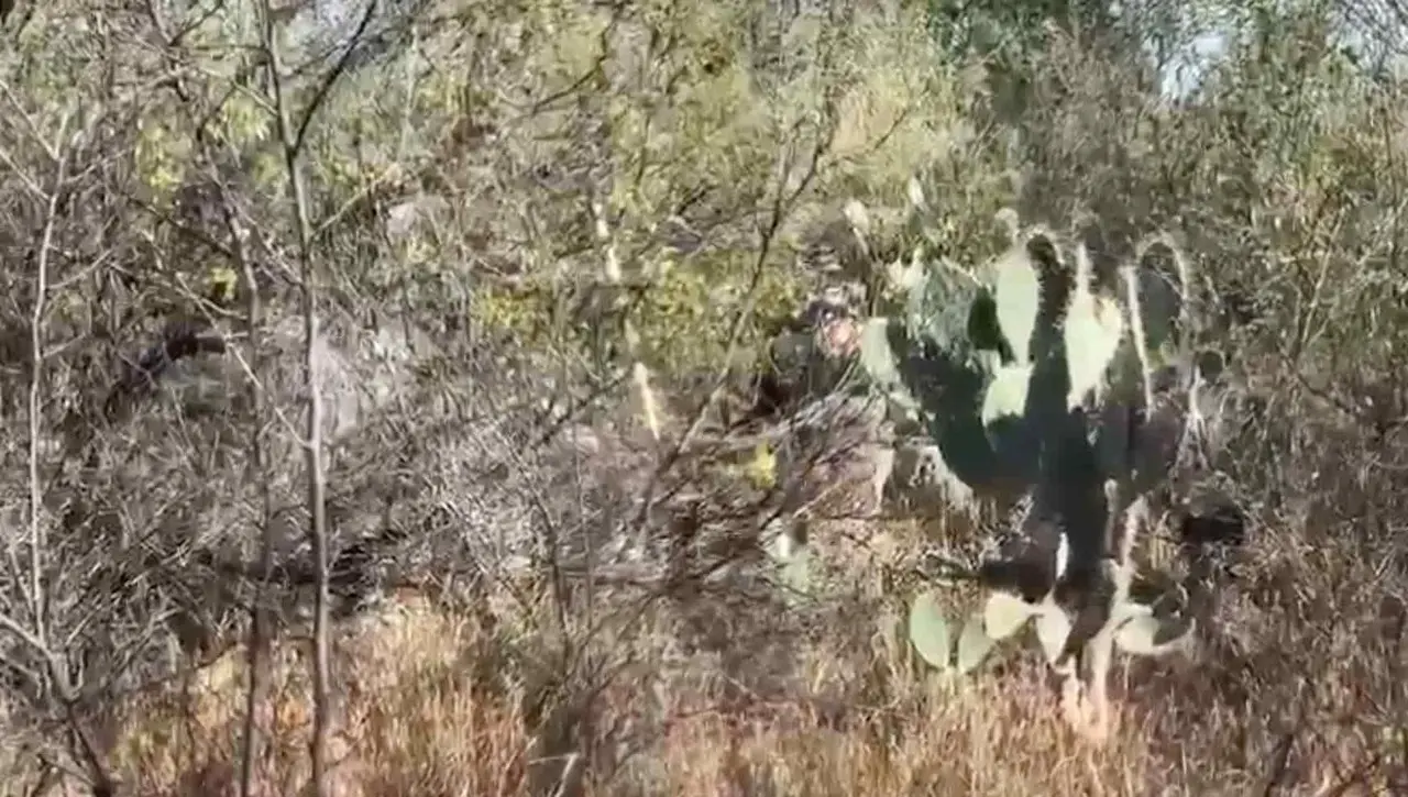 Hallan décimo cuerpo en fosas clandestinas de Escobedo