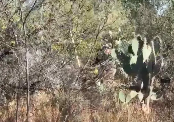 Hallan décimo cuerpo en fosas clandestinas de Escobedo