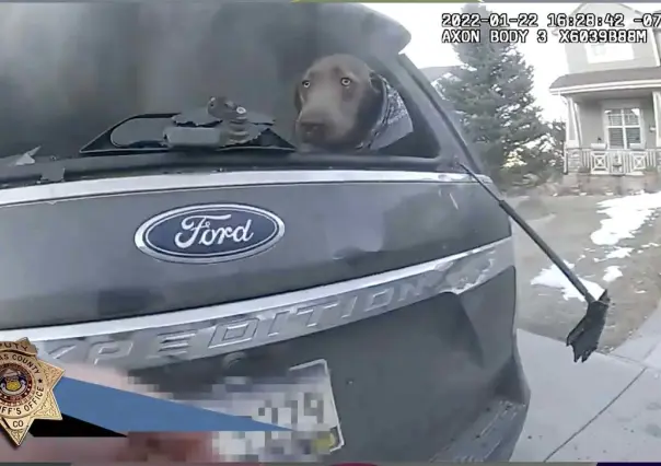 VIDEO: "Solo entré y lo agarré: Salva policía a perro en incendio de auto
