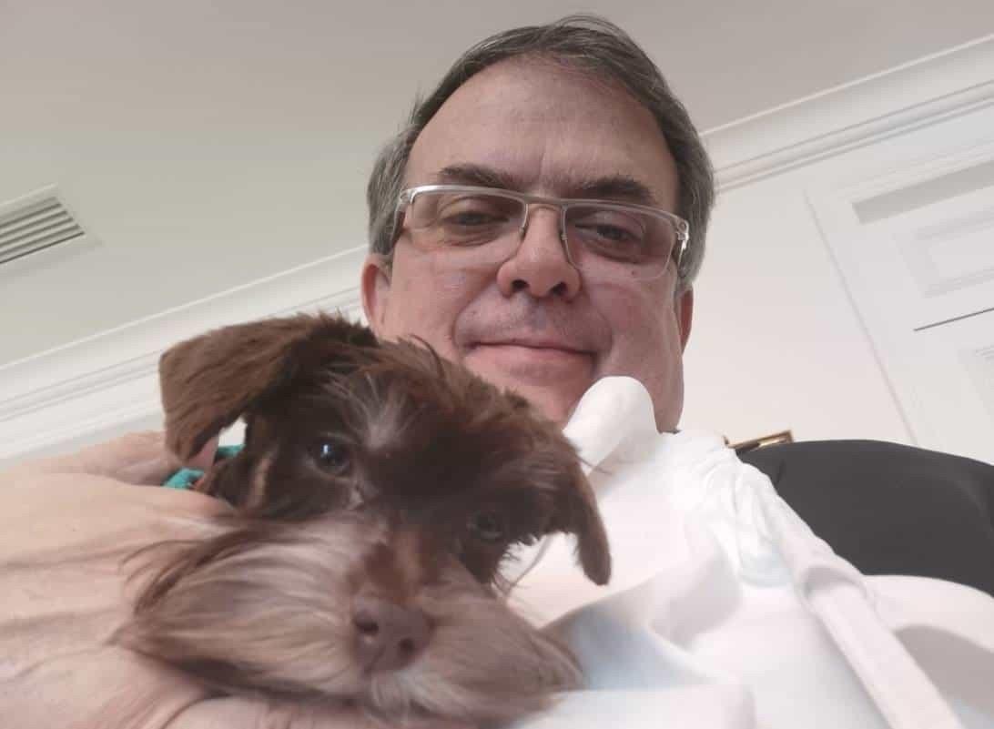 ¿A poco nomás Biden? Ebrard presenta a su mascota