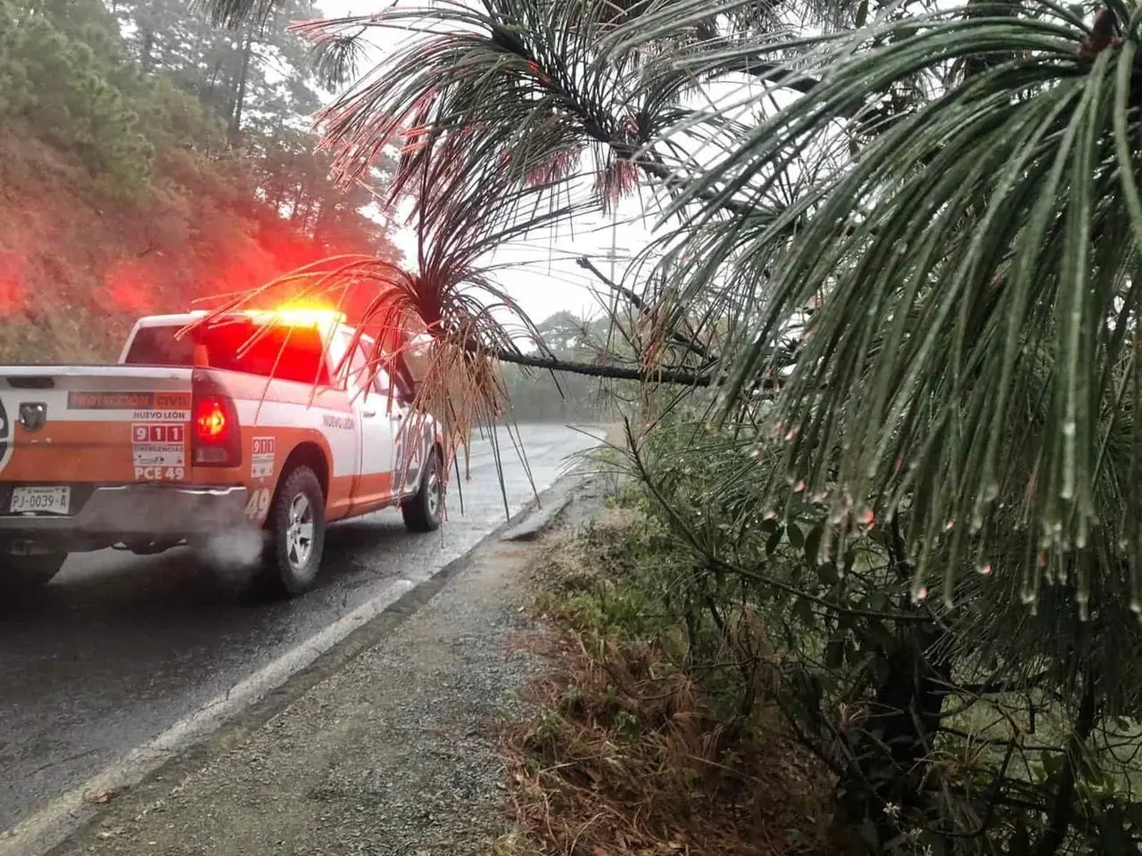 Reportan ligera capa de hielo en Chipinque