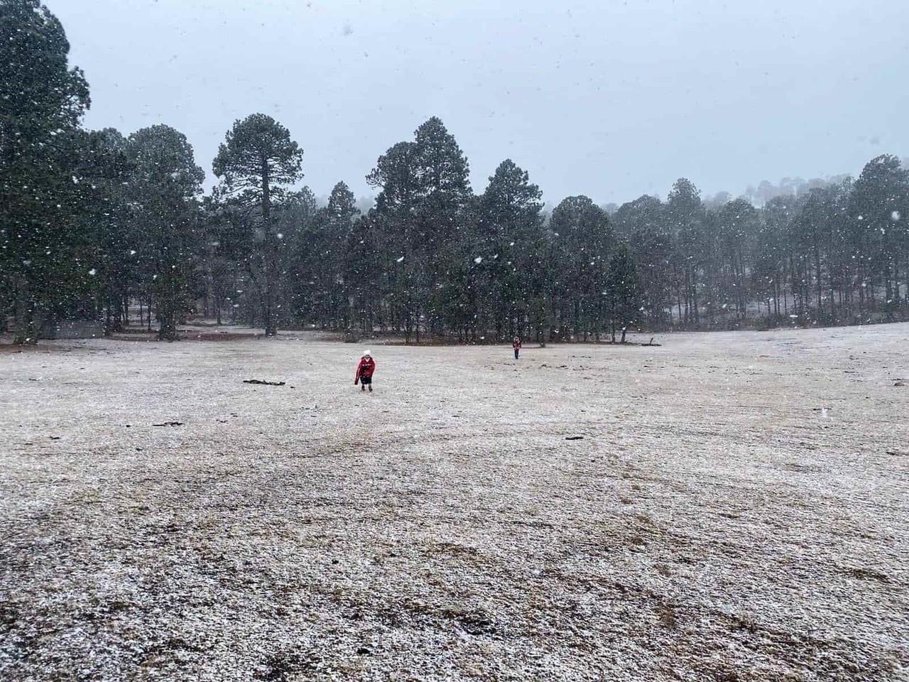 Tamaulipas se pinta de blanco