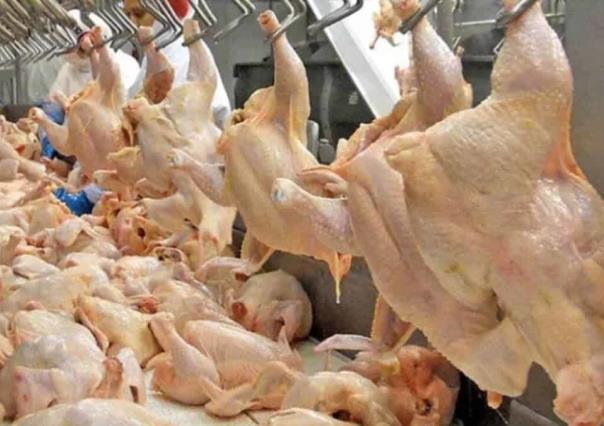 Suspenderá México ingreso de productos avícolas de EU por influenza aviar