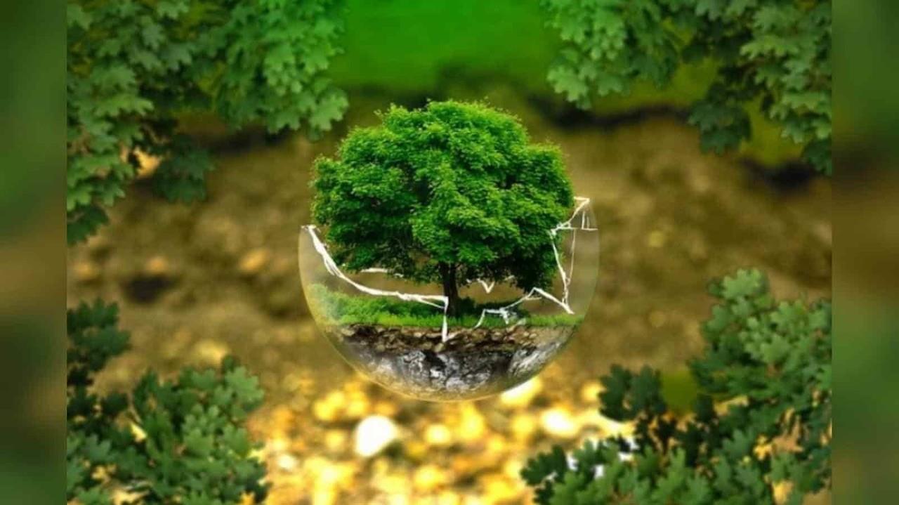 Invita UANL a diplomado en Evaluación Socio-Ambiental Aplicada