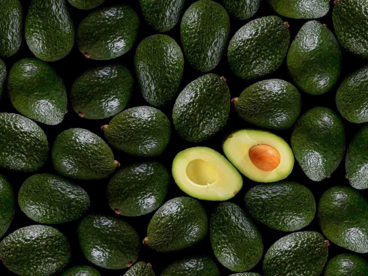 Importación de aguacate mexicano seguirá detenida el tiempo necesario: EU