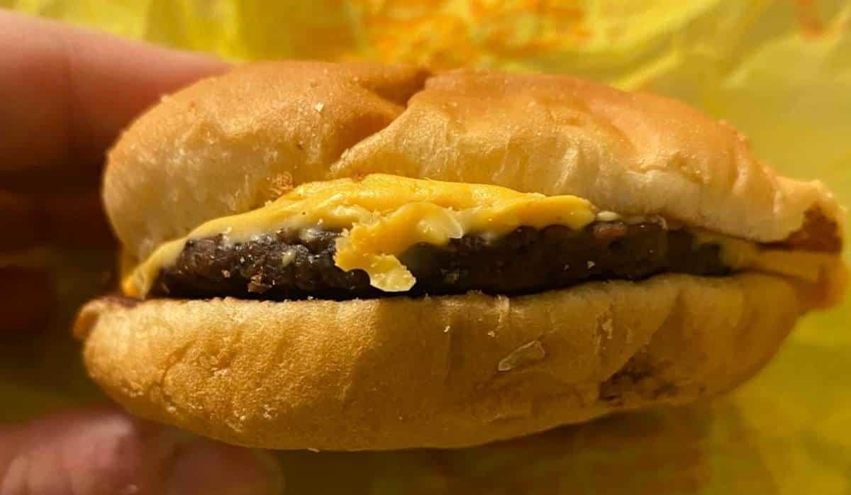 Deja hamburguesa 4 años en el armario; la encuentra dura como roca