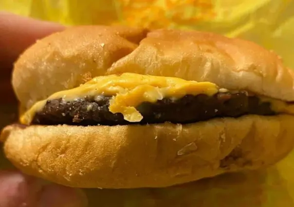 Deja hamburguesa 4 años en el armario; la encuentra dura como roca