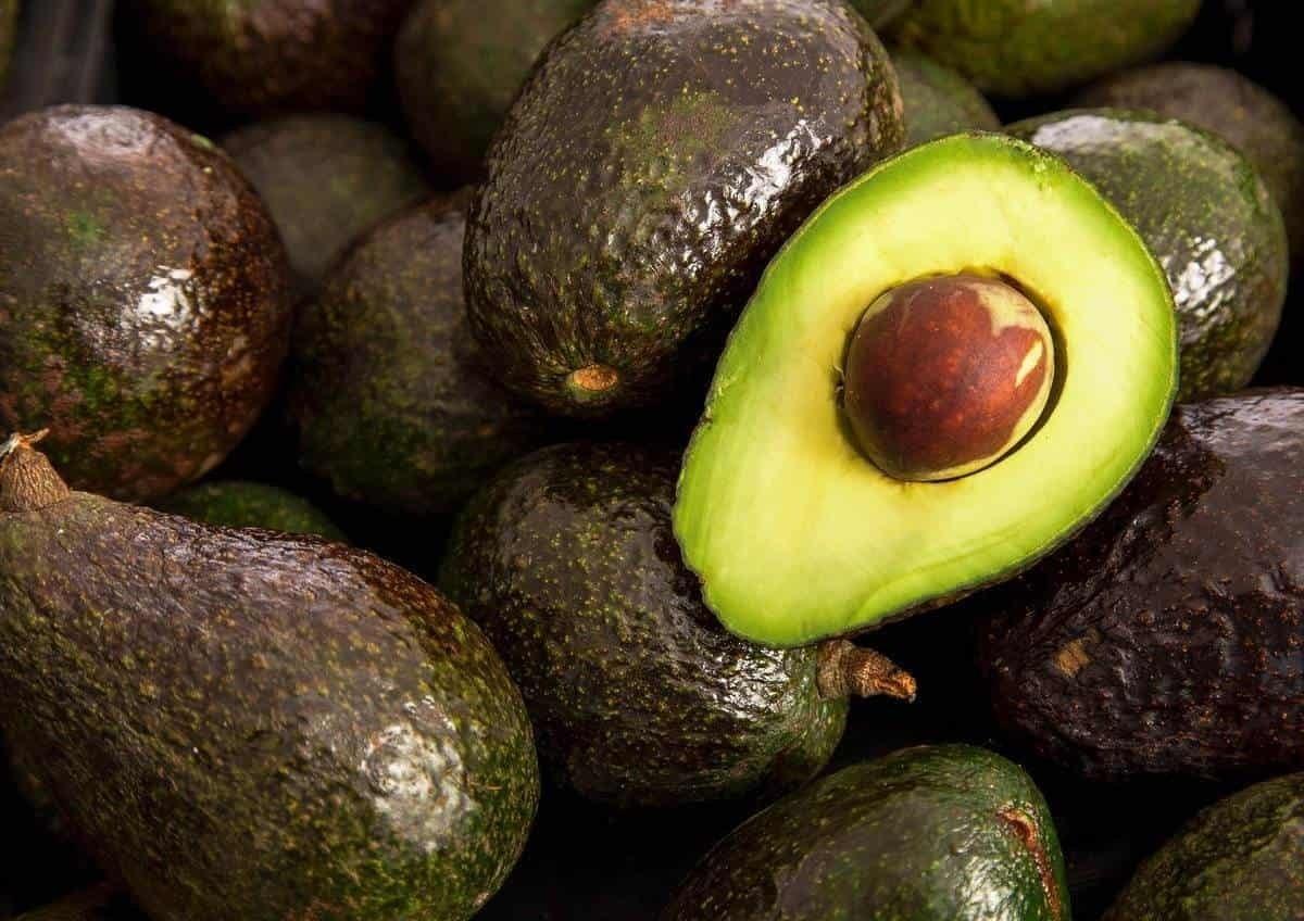 Reanudaría México exportación de aguacate a EU la próxima semana