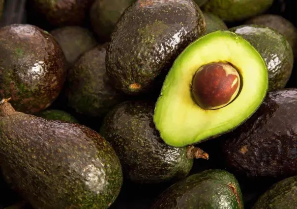 Reanudaría México exportación de aguacate a EU la próxima semana