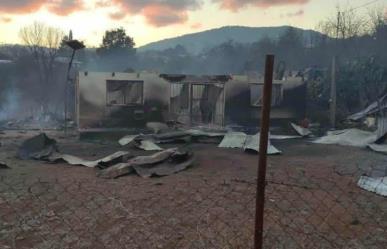 Arrasa incendio forestal con hogares de familias tarahumaras en Chihuahua