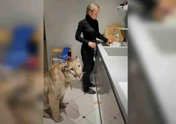 Adopta mujer a puma; le ayuda en tareas domésticas