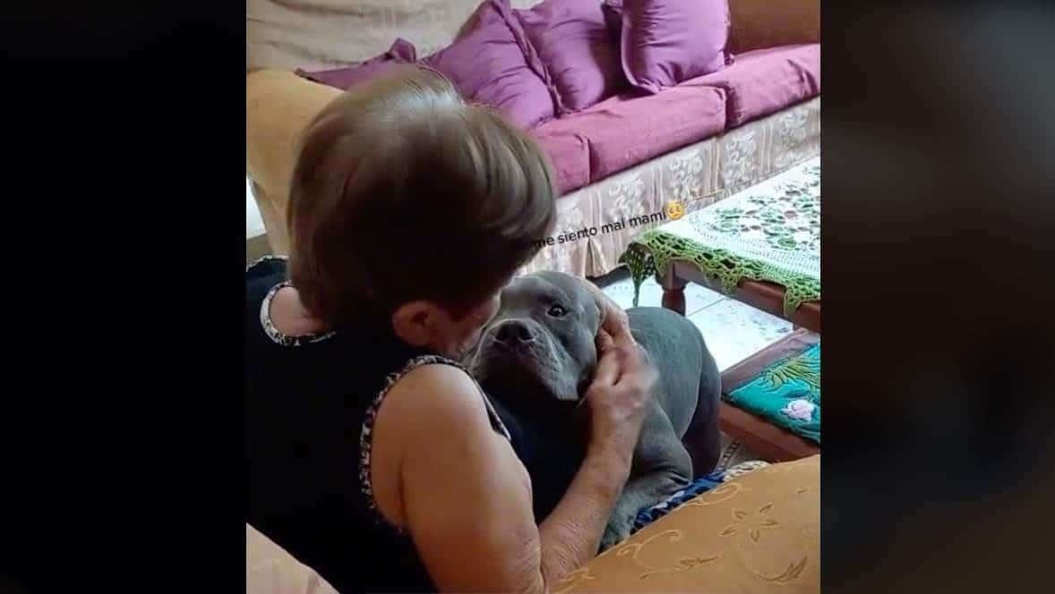 ¿Le harían ojo? Chica sorprende a su abuela barriendo a su mascota