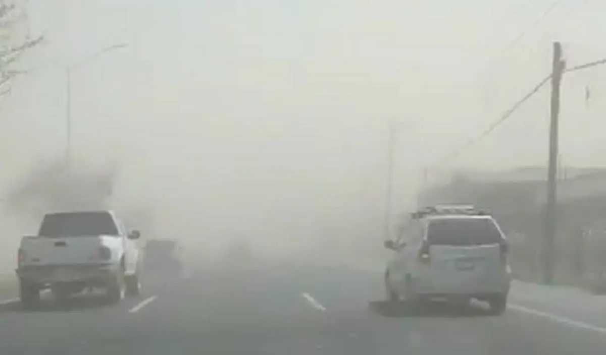 VIDEO: Sorprende tolvanera en la carretera Nacional