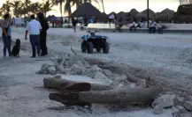 Hallan ancla antigua en el puerto de Progreso, en Yucatán