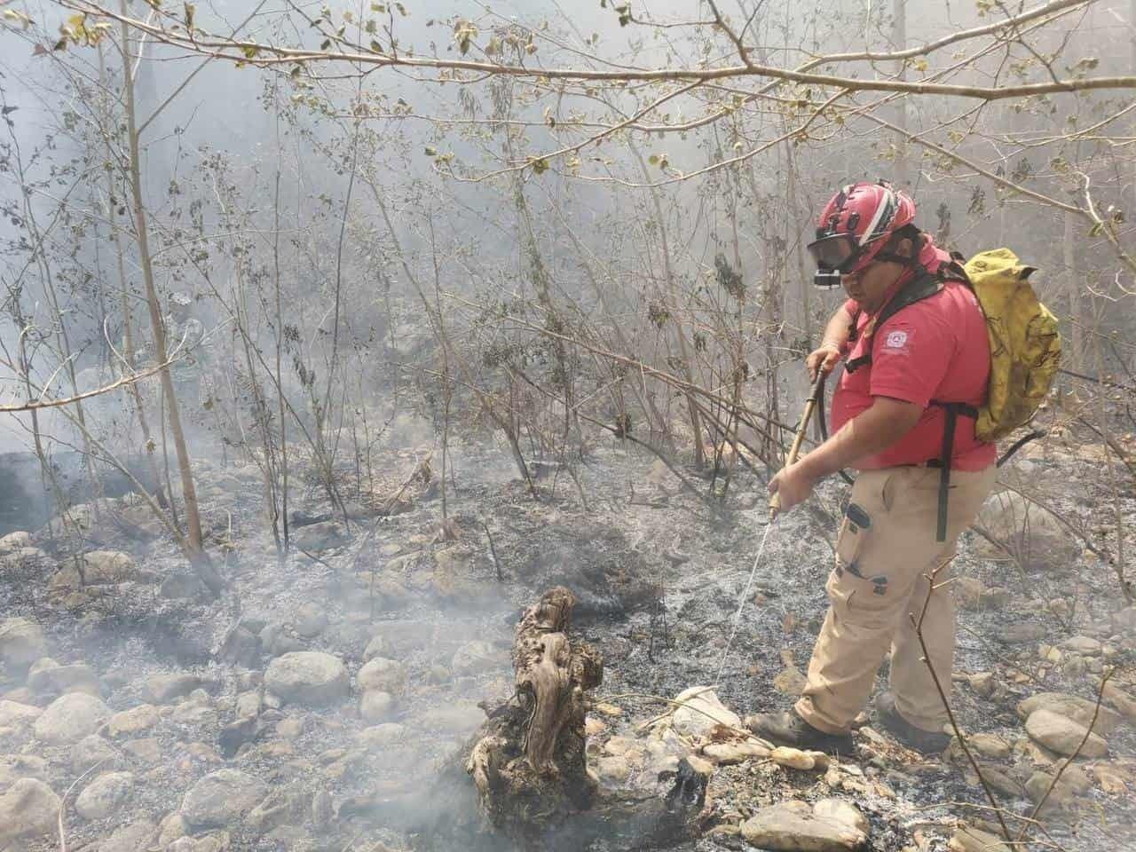 Apoya PC de Monterrey combate de incendio forestal en Santiago