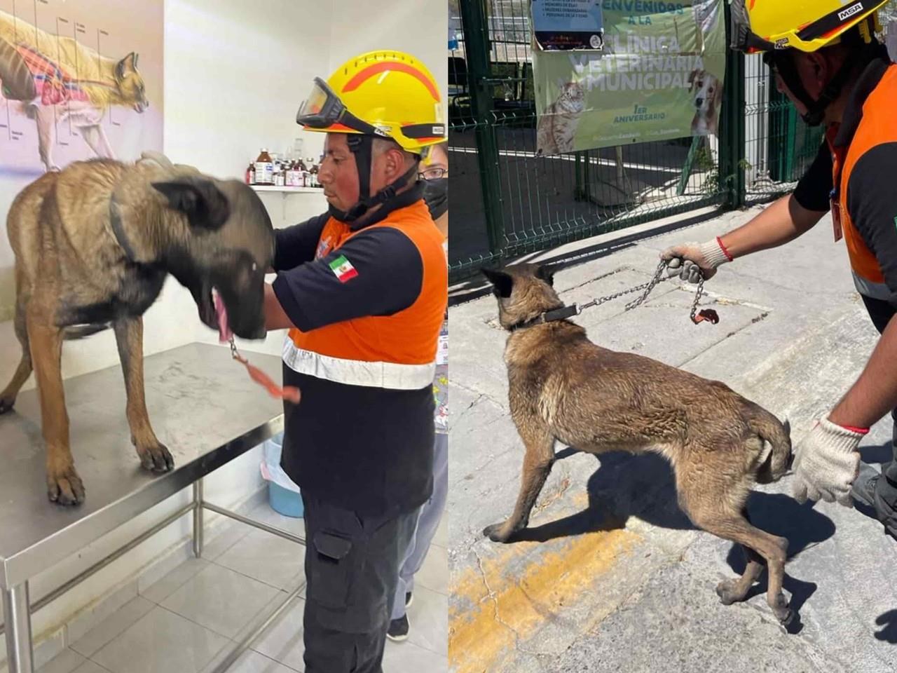 ¡Vaya rescate! Salvan a perrito de morir en incendio en Escobedo