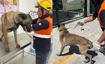 ¡Vaya rescate! Salvan a perrito de morir en incendio en Escobedo
