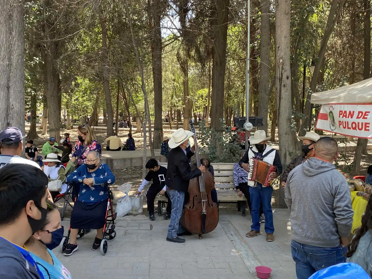 Arteaga, el pueblo mágico que vuelve a reactivarse  al 100%