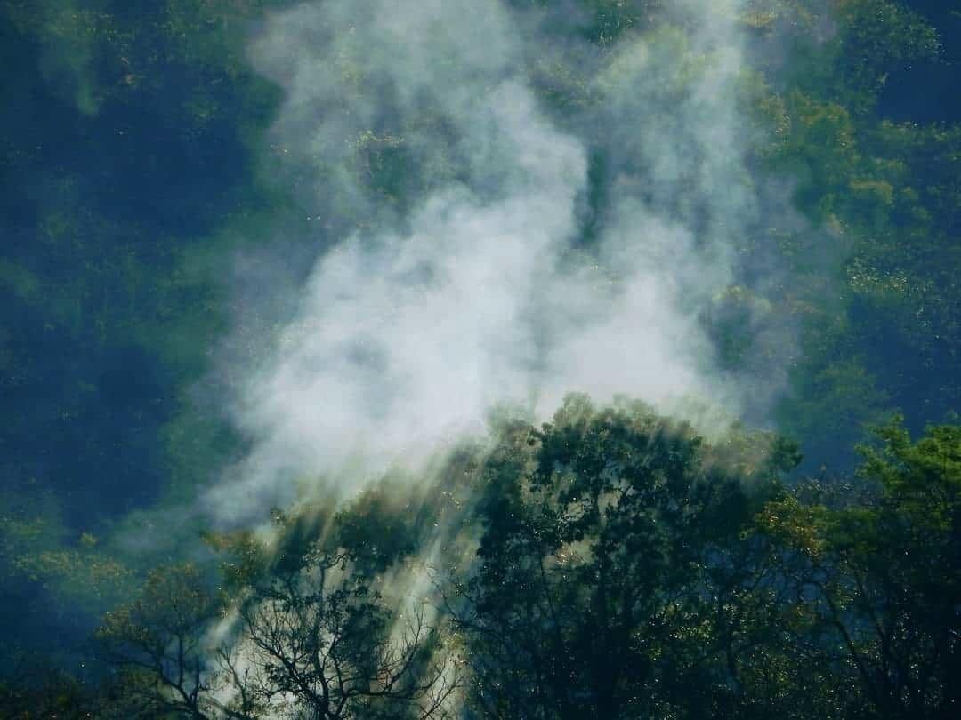 ¡Sin control! Afecta incendio en El Cielo más de 90 hectáreas