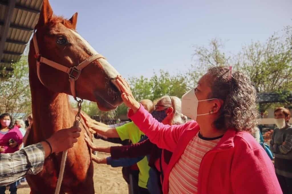 Brinda Monterrey terapias psicológicas y físicas a adultos mayores